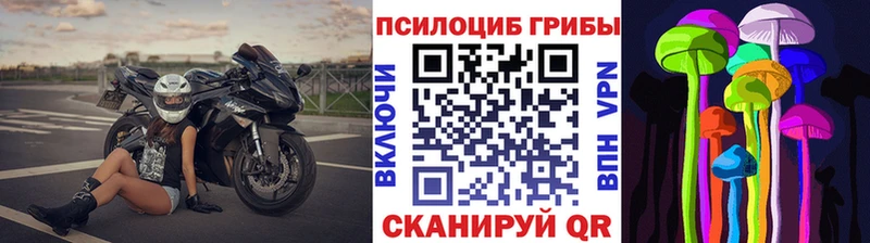 Галлюциногенные грибы Psilocybine cubensis  дарнет шоп  Медынь 