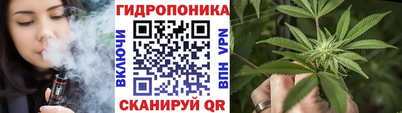 Шишки марихуана SATIVA & INDICA  блэк спрут ссылка  Медынь  закладки 